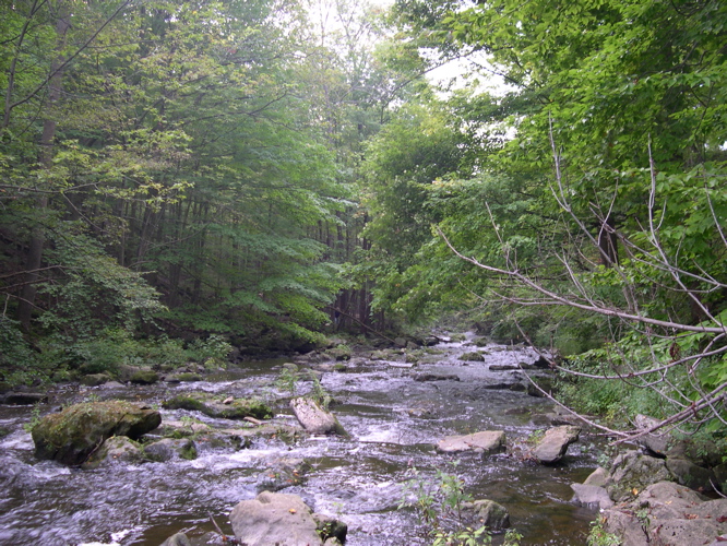 DSCN0112.JPG