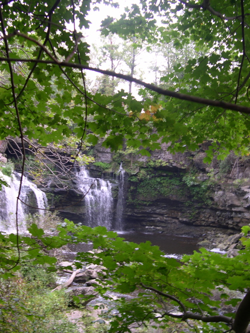 DSCN0115.JPG