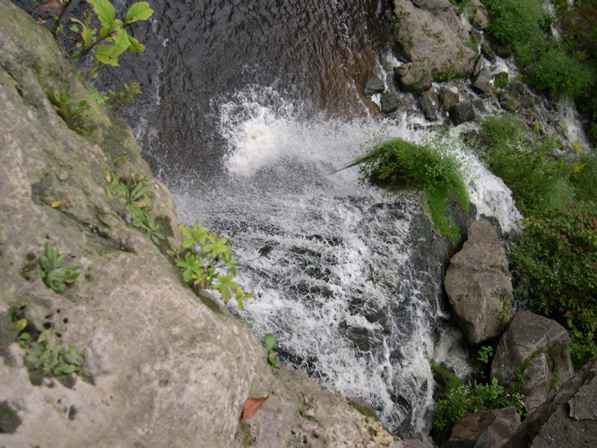 DSCN0014.JPG