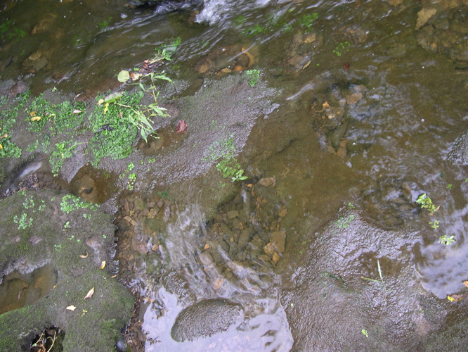 DSCN0123.JPG