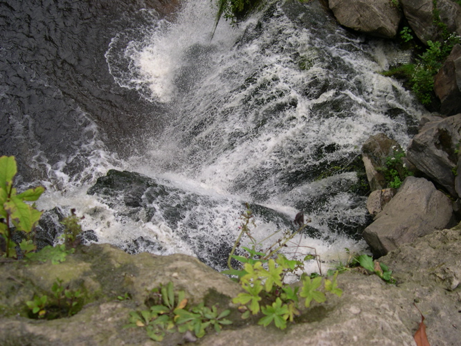 DSCN0015.JPG