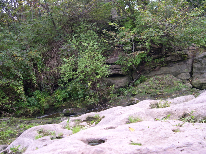 DSCN0131.JPG