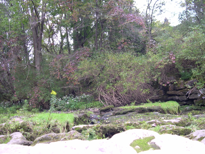 DSCN0134.JPG