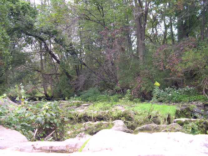 DSCN0135.JPG