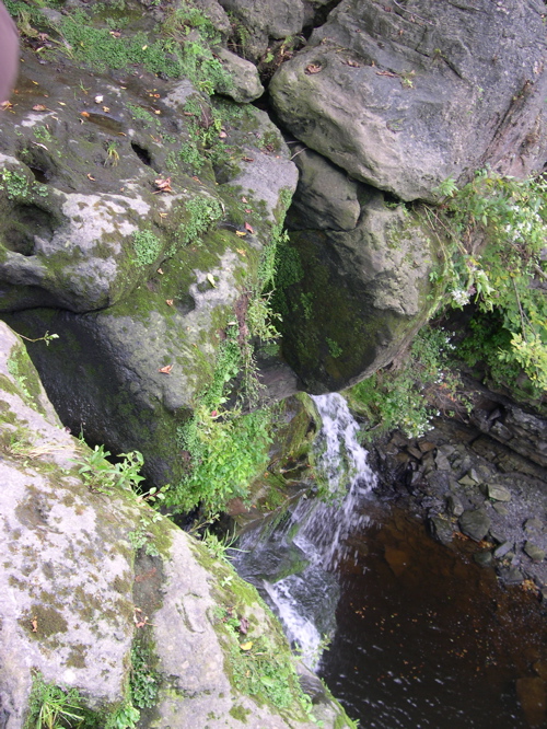 DSCN0016.JPG