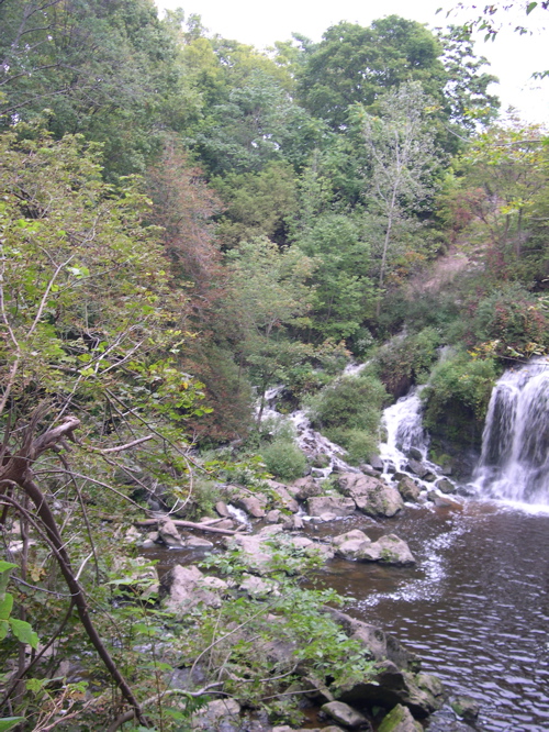 DSCN0146.JPG