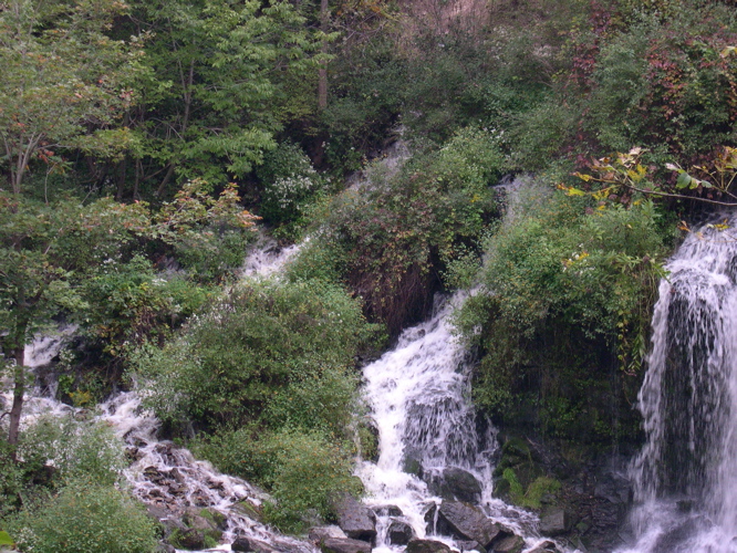 DSCN0150.JPG