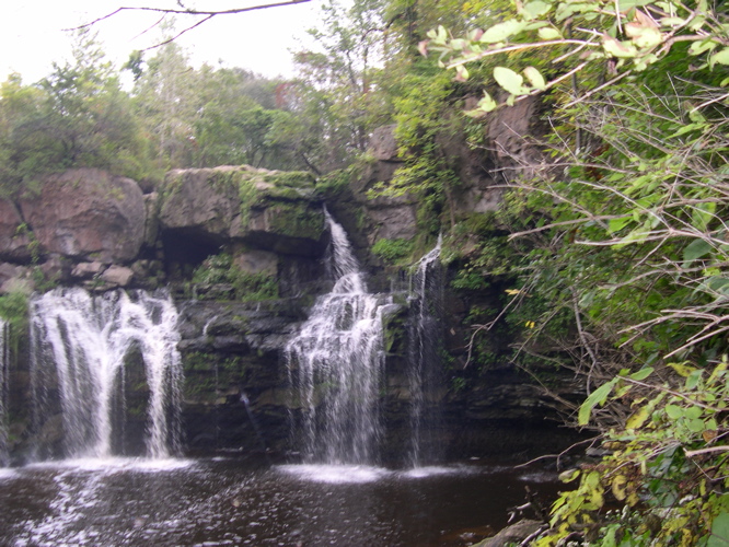 DSCN0155.JPG
