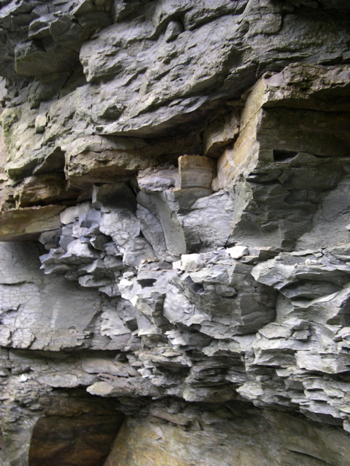 DSCN0164.JPG