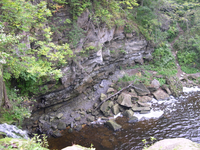DSCN0019.JPG