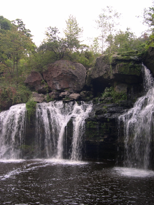 DSCN0170.JPG