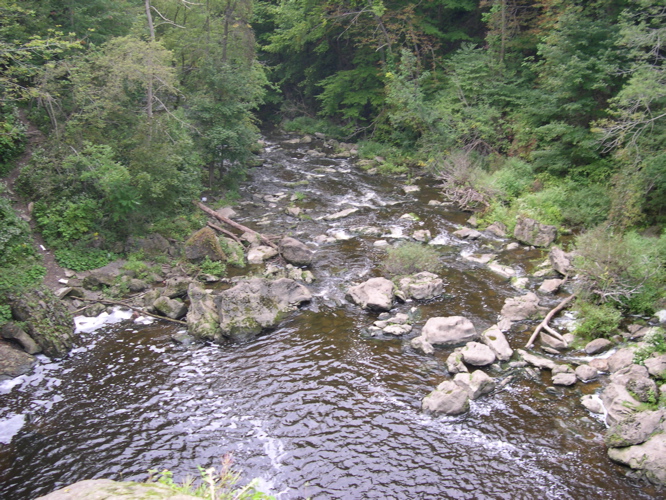 DSCN0020.JPG