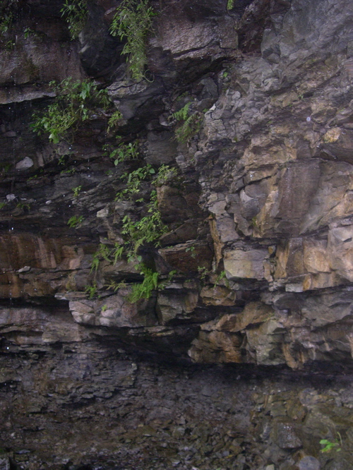 DSCN0189.JPG