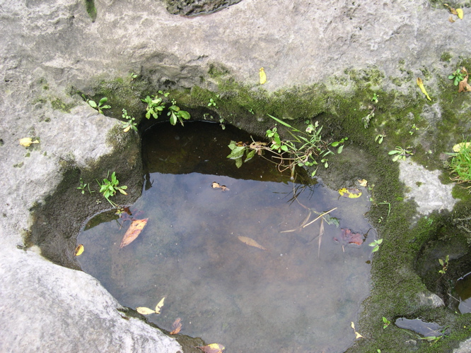 DSCN0023.JPG
