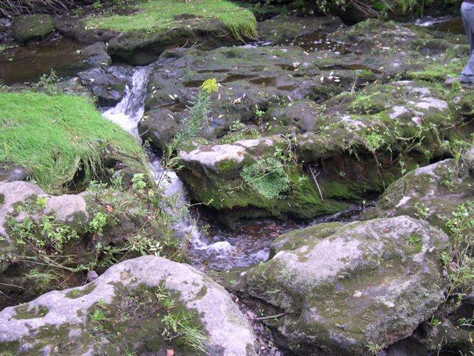 DSCN0028.JPG
