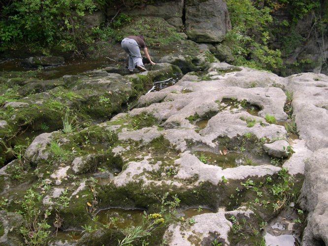 DSCN0030.JPG