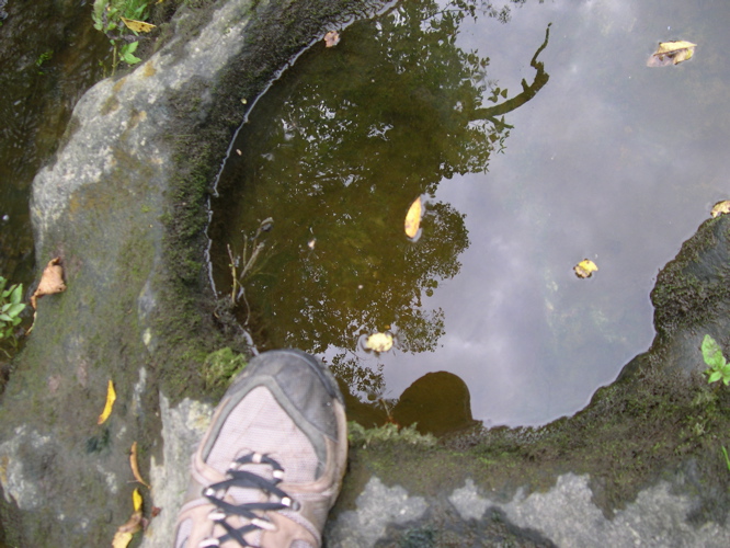 DSCN0034.JPG
