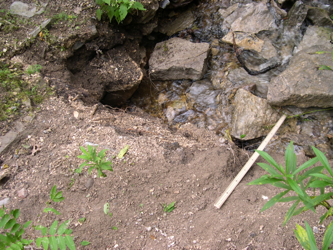 DSCN0036.JPG