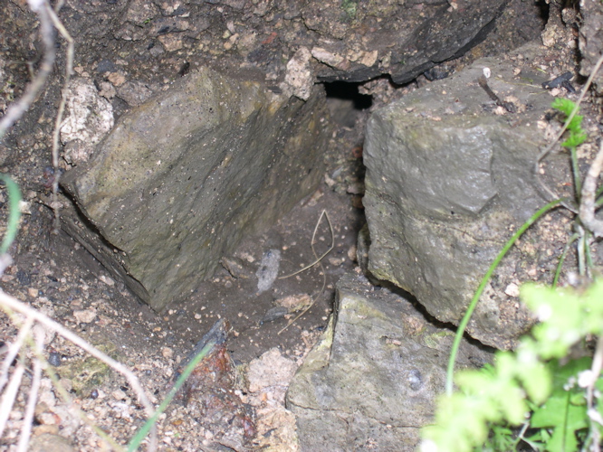 DSCN0040.JPG