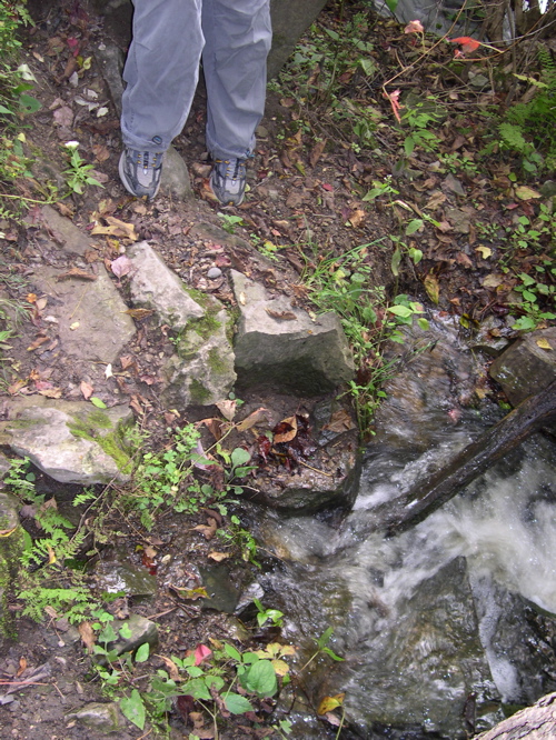 DSCN0041.JPG