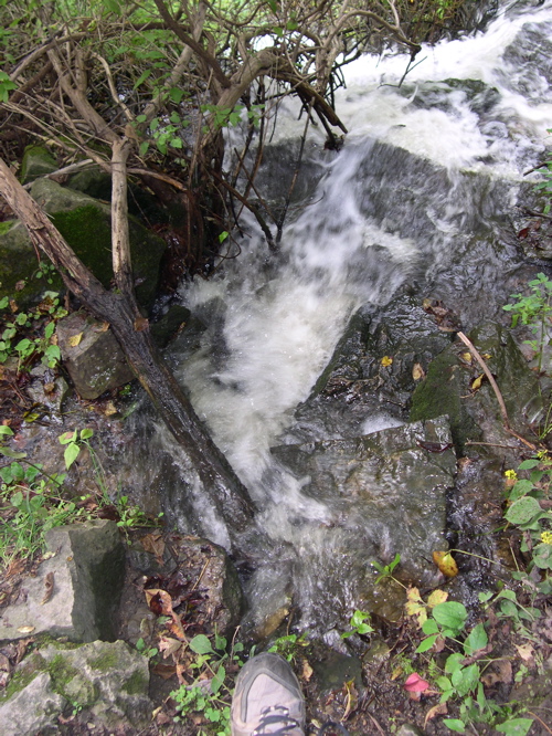 DSCN0042.JPG