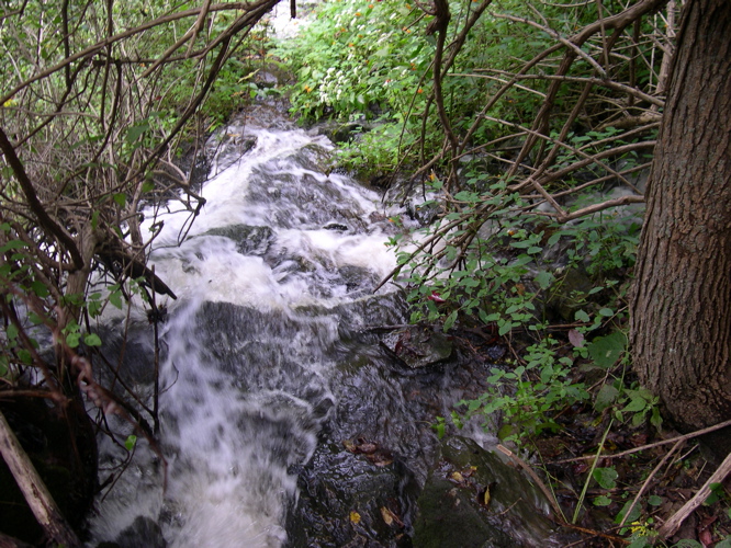 DSCN0043.JPG