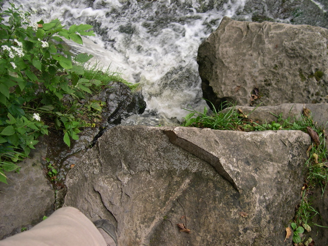 DSCN0047.JPG