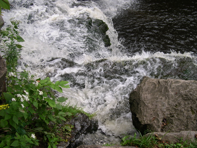 DSCN0048.JPG