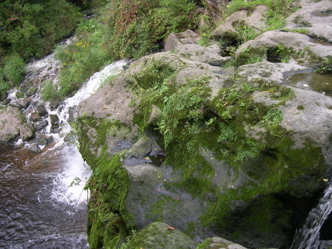 DSCN0008.JPG