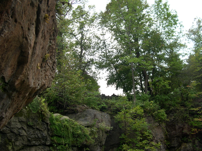 DSCN0054.JPG