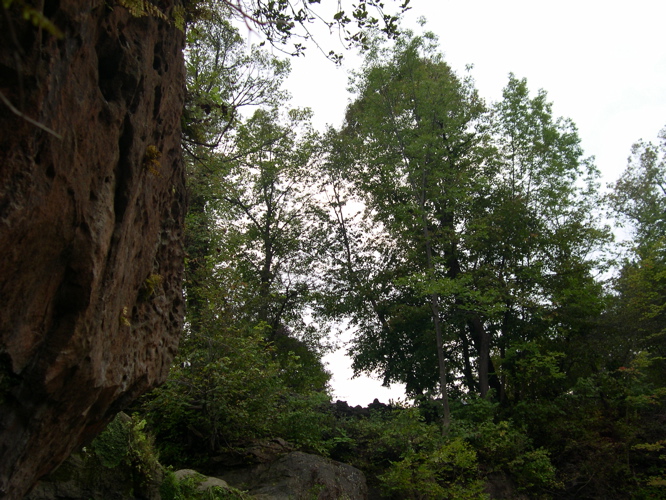 DSCN0055.JPG