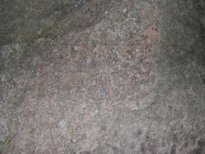 DSCN0061.JPG