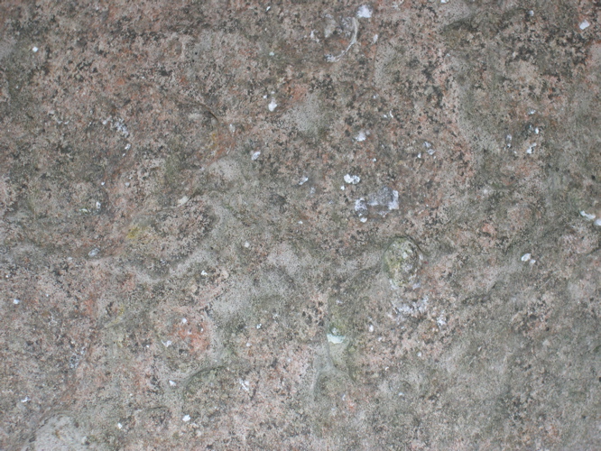 DSCN0062.JPG