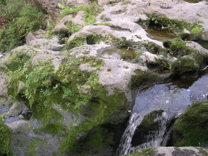 DSCN0009.JPG