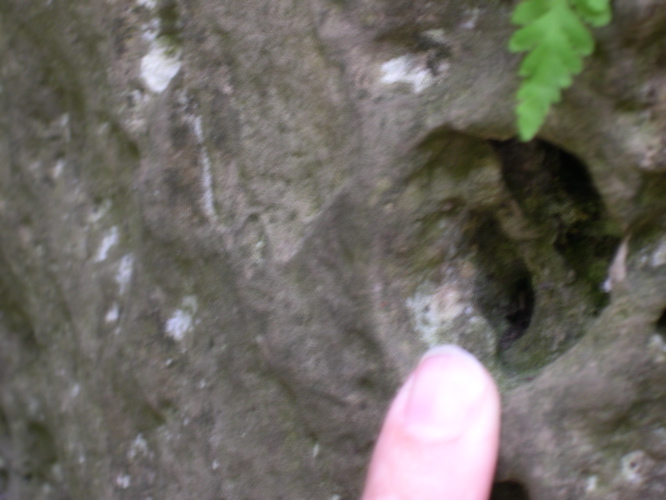 DSCN0065.JPG