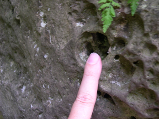 DSCN0066.JPG
