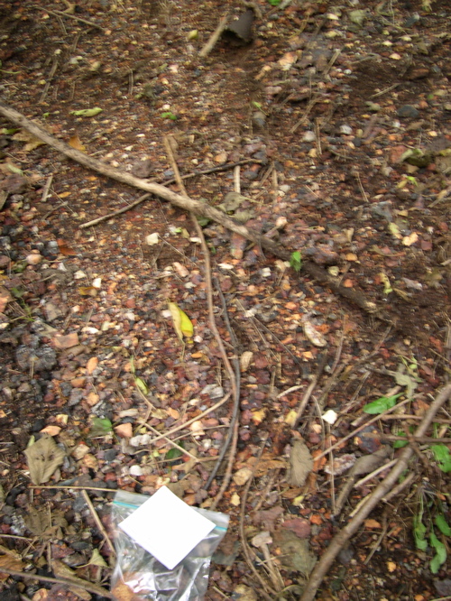 DSCN0070.JPG