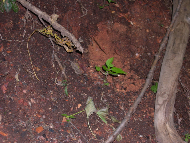 DSCN0077.JPG