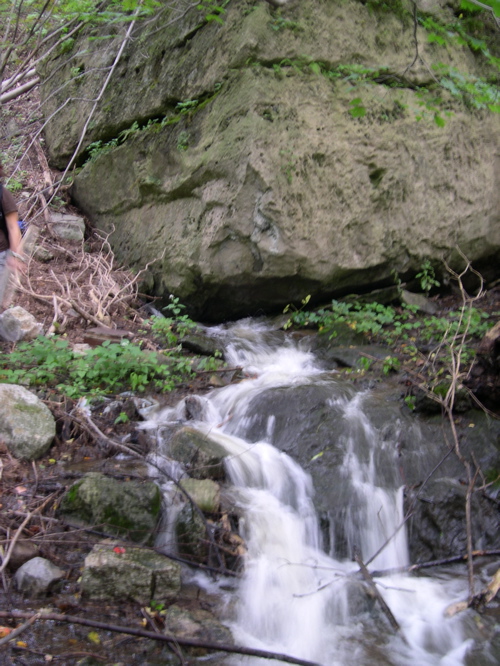 DSCN0083.JPG