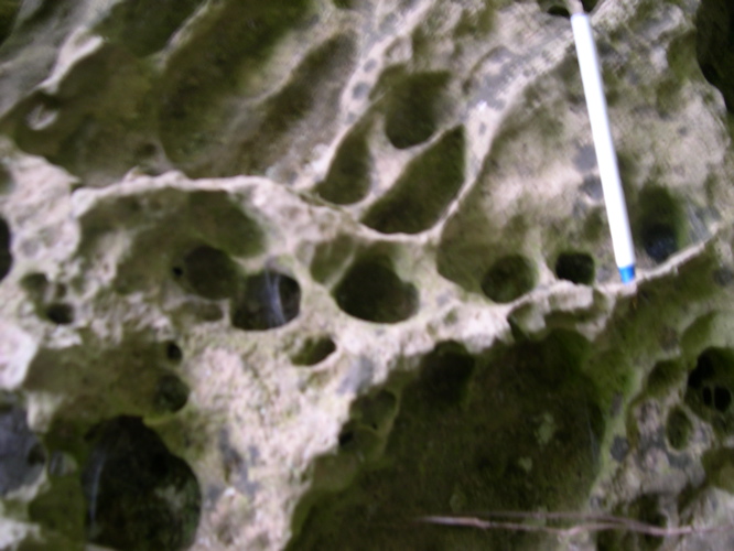 DSCN0084.JPG
