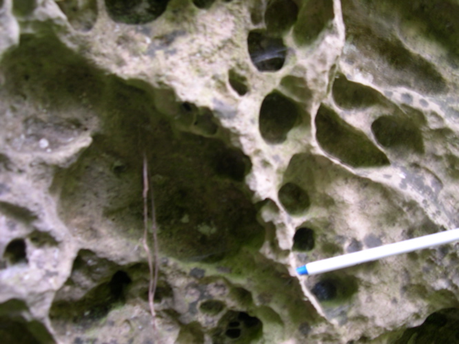 DSCN0085.JPG
