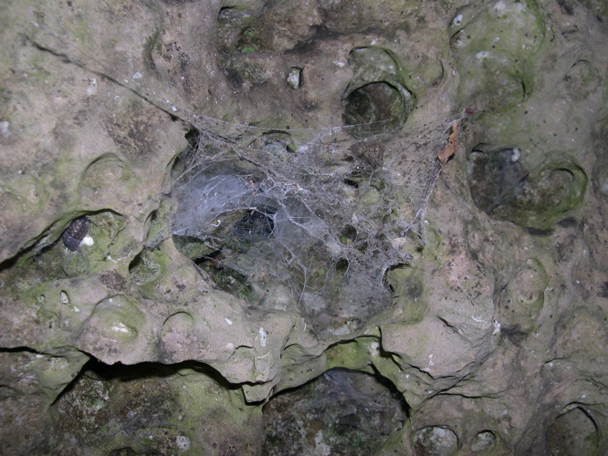 DSCN0089.JPG