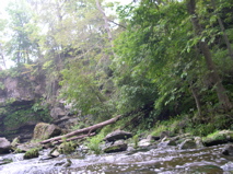 DSCN0111.JPG