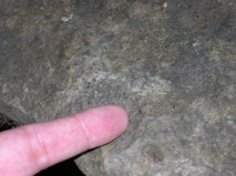 DSCN0113.JPG