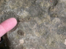 DSCN0114.JPG