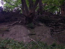 DSCN0118.JPG