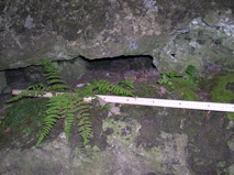 DSCN0119.JPG