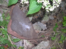 DSCN0122.JPG