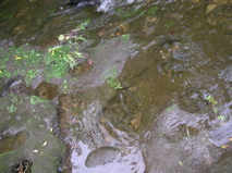 DSCN0123.JPG