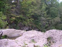 DSCN0128.JPG